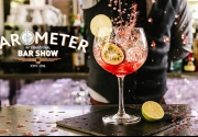 Barometer Party в Киеве